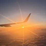 みみみの画像