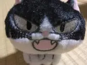 なまこの画像