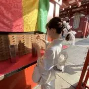 コノハの画像