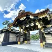 すずきの画像