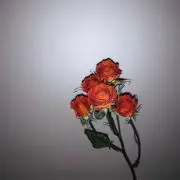 M̋OEの画像