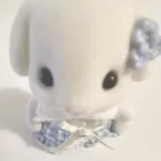 umiの画像