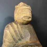あおのりの画像