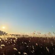 sa╰(*´︶`*)╯♡の画像