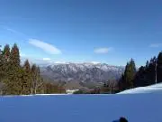 ☆ゆっきー☆の画像
