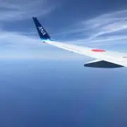 こここの画像