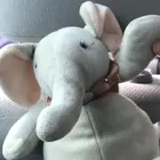Mapleの画像