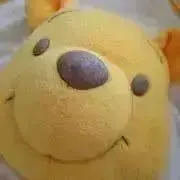 アンジュの画像