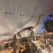トライ♪