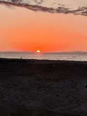 KUROHABAKIの画像