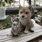 グーの画像