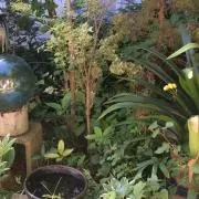 ryoookuの画像