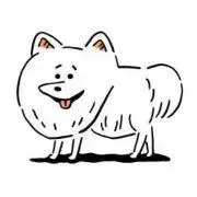 さとぴの画像