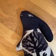 マロンマロンの画像