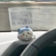 ウルフの画像