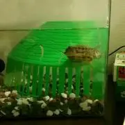 ゆうプロフ必読