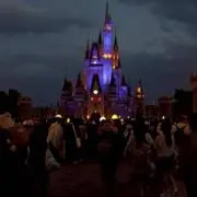 ともの画像