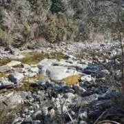 r3の画像