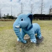 断捨離中！ プロフ必読ください。の画像