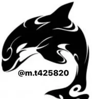 m.t425820
