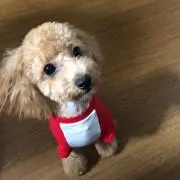 みよ
