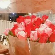 たまの画像