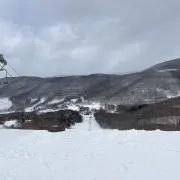 桜マスの画像
