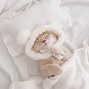 ゆの画像