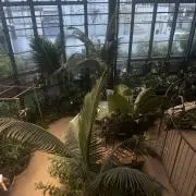 まりりん