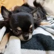 すぐの