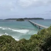 こうてぃーの画像