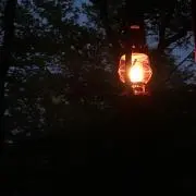ちくわ