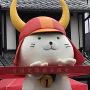 カイネの画像