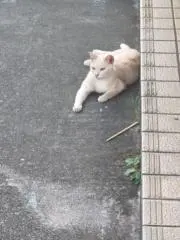 名幸良彦の画像