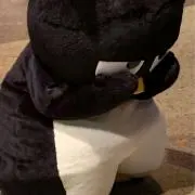 き ゃ ら め るの画像