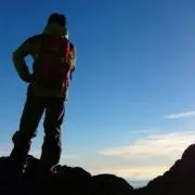 ケイの画像