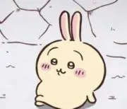 うさぎ商店の画像