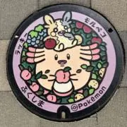 はむの画像