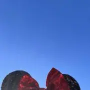 ♡♡♡の画像