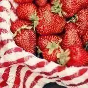 TMRY プロフ必読！の画像