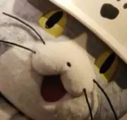 だるまの画像