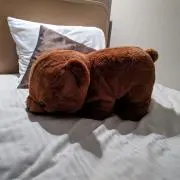 奏