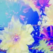 即購入歓迎の画像