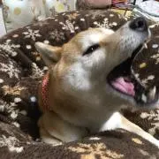 まる