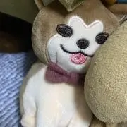 ちーずの画像