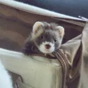 てん(*^^*)プロフ見て下さい