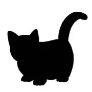 ゆりの画像