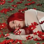 Roseの画像
