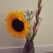 ✻КК✻プロフ必読✻の画像