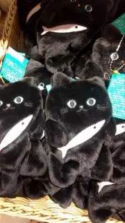 プロフご一読ください！✦✦✦の画像